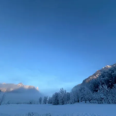 Alpenblick 公寓